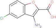 3-Amino-5-chloro-1-benzofuran-2-carboxylic acid