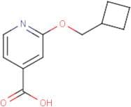 2-(Cyclobutylmethoxy)isonicotinic acid