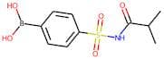 4-(N-Isobutanoylsulphamoyl)benzeneboronic acid