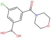 3-Chloro-5-[(morpholin-4-yl)carbonyl]benzeneboronic acid