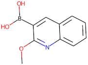 2-Methoxyquinoline-3-boronic acid