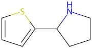 2-(Thien-2-yl)pyrrolidine