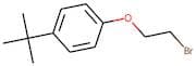 2-Bromoethyl 4-(tert-butyl)phenyl ether