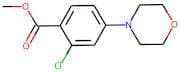 Methyl 2-chloro-4-morpholin-4-ylbenzoate