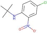 N-tert-Butyl-4-chloro-2-nitroaniline