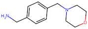 {4-[(Morpholin-4-yl)methyl]phenyl}methylamine