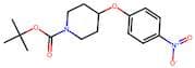 4-(4-Nitrophenoxy)piperidine, N-BOC protected 97%