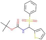 tert-Butyl N-[(phenylsulphonyl)(thien-2-yl)methyl]carbamate