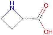 L-Azetidine-2-carboxylic acid