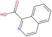 Isoquinoline-1-carboxylic acid