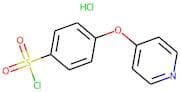4-[(Pyridin-4-yl)oxy]benzenesulphonyl chloride hydrochloride