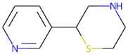 2-(Pyridin-3-yl)thiomorpholine