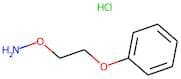 O-(2-Phenoxyethyl)hydroxylamine hydrochloride