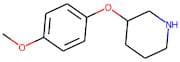 3-(4-methoxy-phenoxy)piperidine