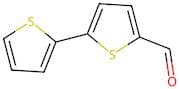 2,2'-Bithiophene-5-carboxaldehyde