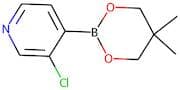 3-Chloropyridine-4-boronic acid, neopentyl glycol ester