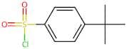 4-(tert-Butyl)benzenesulphonyl chloride