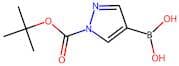 1H-Pyrazole-4-boronic acid, N1-BOC protected