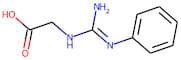 (Phenylcarbamimidamido)acetic acid