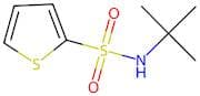 N-(tert-Butyl)thiophene-2-sulphonamide