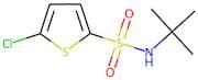 N-(tert-Butyl)-5-chlorothiophene-2-sulphonamide
