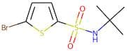5-Bromo-N-(tert-butyl)thiophene-2-sulphonamide