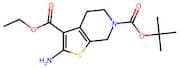 Ethyl 2-amino-4,5,6,7-tetrahydrothieno[2,3-c]pyridine-3-carboxylate, N-BOC protected