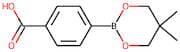 4-(5,5-Dimethyl-1,3,2-dioxaborinan-2-yl)benzoic acid