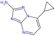 2-Amino-7-cyclopropyl[1,2,4]triazolo[1,5-a]pyrimidine