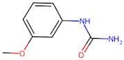 3-Methoxyphenylurea