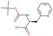 3-Pyridin-2-yl-L-alanine, N-BOC protected