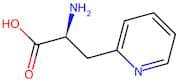 3-(Pyridin-2-yl)-L-alanine