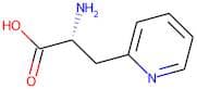 (2R)-2-Amino-3-(pyridin-2-yl)propanoic acid
