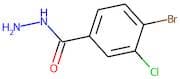 4-Bromo-3-chlorobenzhydrazide