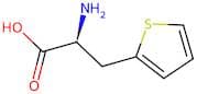 3-Thien-2-yl-L-alanine
