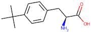 4-tert-Butyl-L-phenylalanine