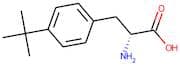 4-tert-Butyl-D-phenylalanine