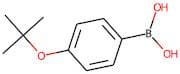 4-(tert-Butoxy)benzeneboronic acid