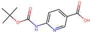 6-Aminonicotinic acid, 6-BOC protected