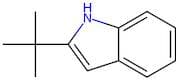2-(tert-Butyl)-1H-indole