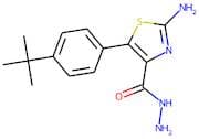 2-Amino-5-[4-(tert-butyl)phenyl]-1,3-thiazole-4-carbohydrazide
