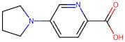 5-(Pyrrolidin-1-yl)pyridine-2-carboxylic acid