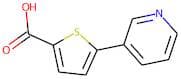 5-(Pyridin-3-yl)thiophene-2-carboxylic acid