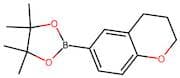 Chroman-6-boronic acid, pinacol ester