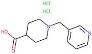 1-(Pyridin-3-ylmethyl)piperidine-4-carboxylic acid dihydrochloride 95%