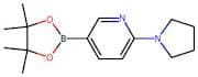 6-(Pyrrolidin-1-yl)pyridine-3-boronic acid, pinacol ester
