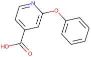 2-Phenoxyisonicotinic acid
