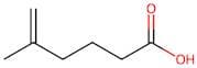 5-Methylhex-5-enoic acid