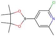 2-Chloro-6-methylpyridine-4-boronic acid, pinacol ester