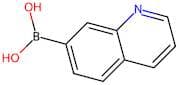 Quinoline-7-boronic acid